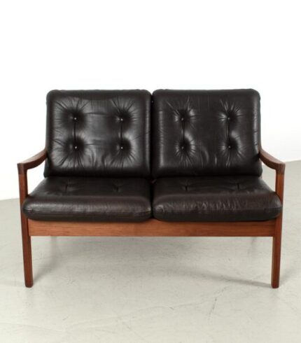 vintage-senator-sofa-by-ole-wanscher-for-cado-2.jpg